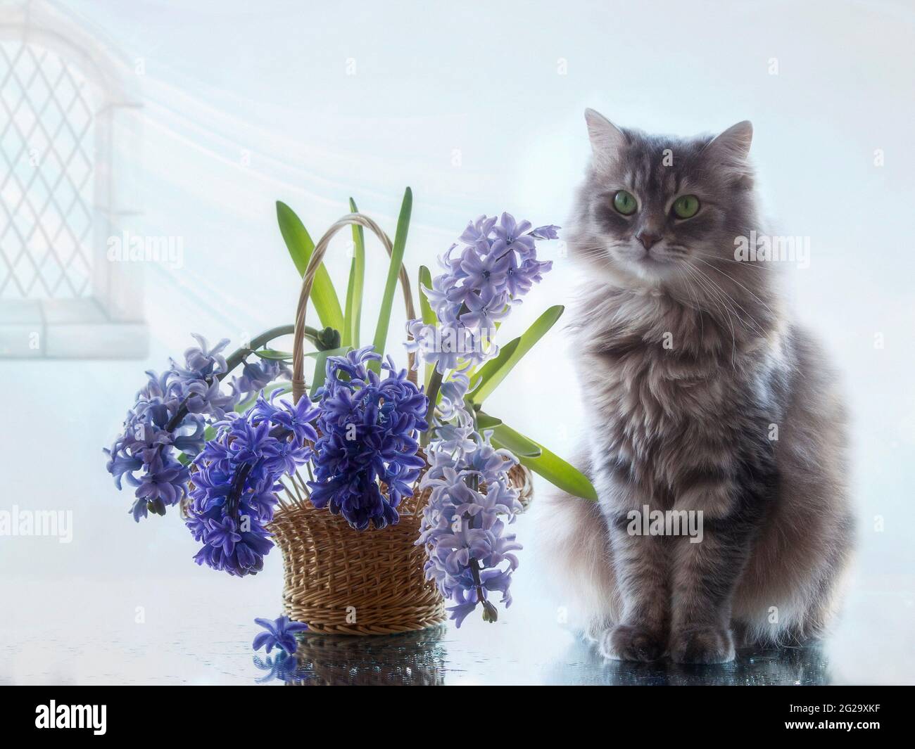 La natura morta floreale con il grazioso gattino grigio Foto Stock