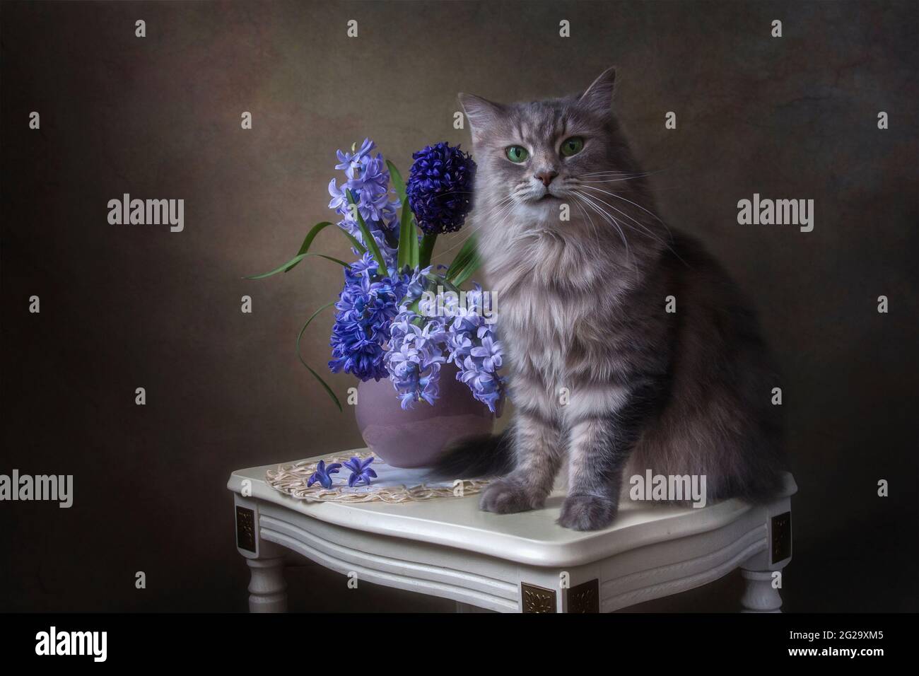 La natura morta floreale con il grazioso gattino grigio Foto Stock