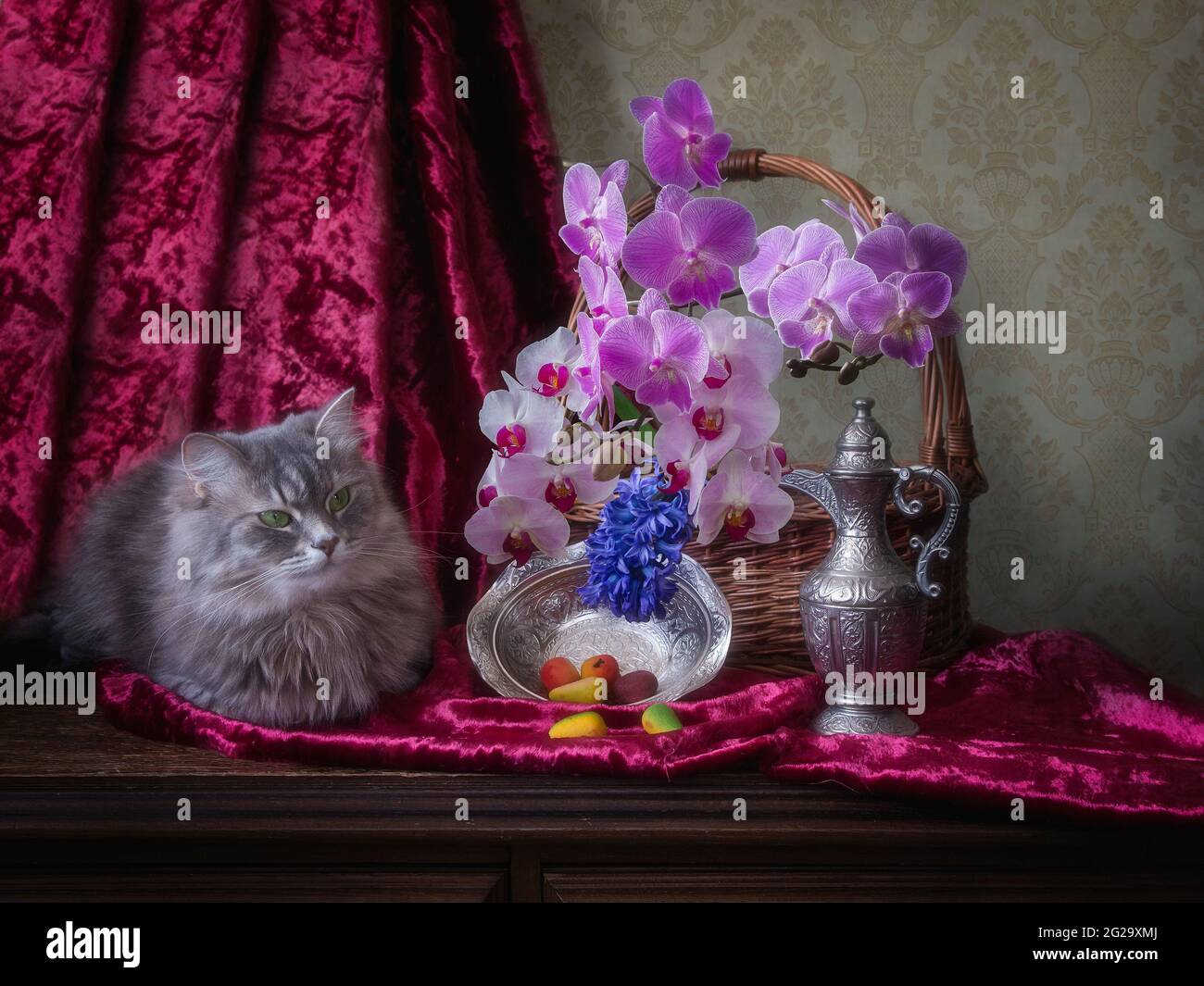 La natura morta floreale con il grazioso gattino grigio Foto Stock