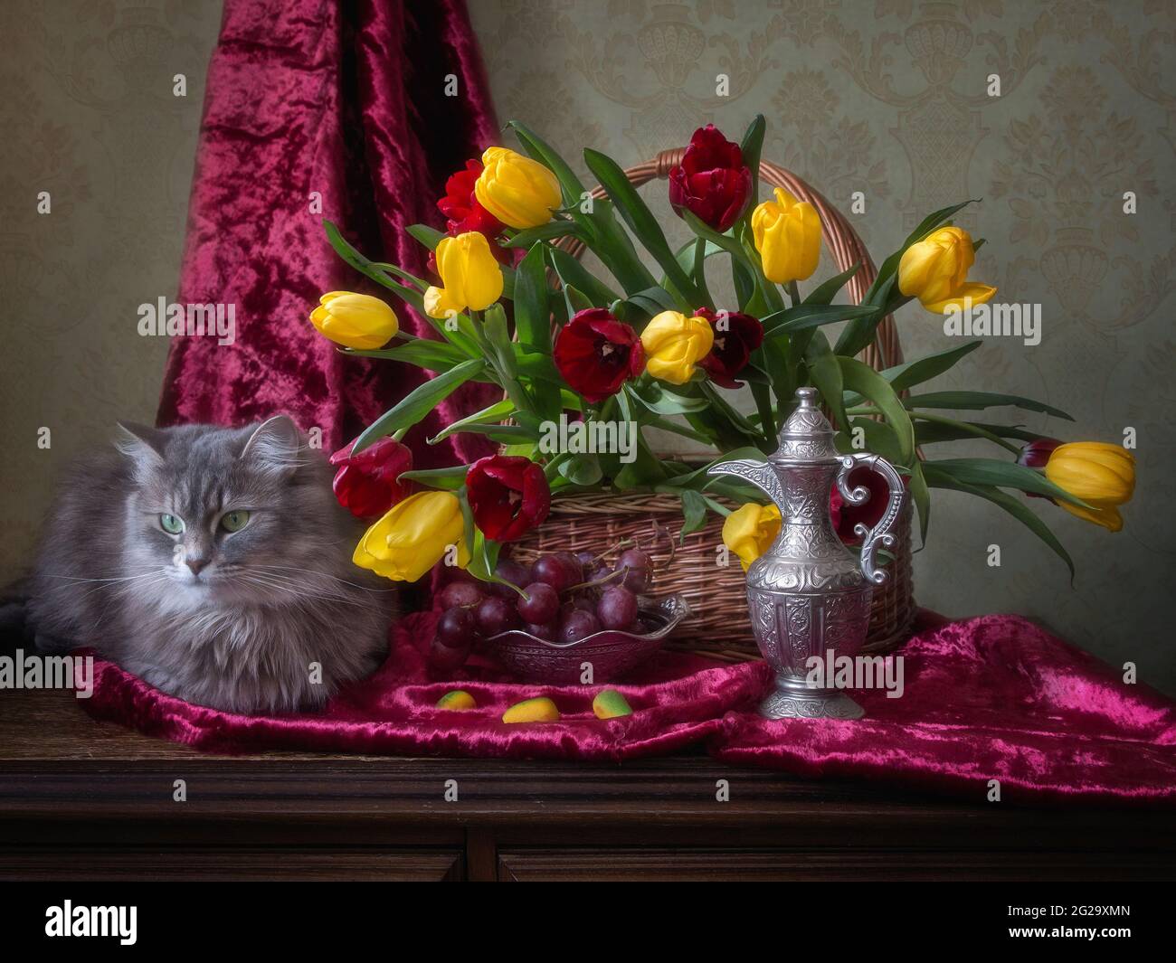 La natura morta floreale con il grazioso gattino grigio Foto Stock