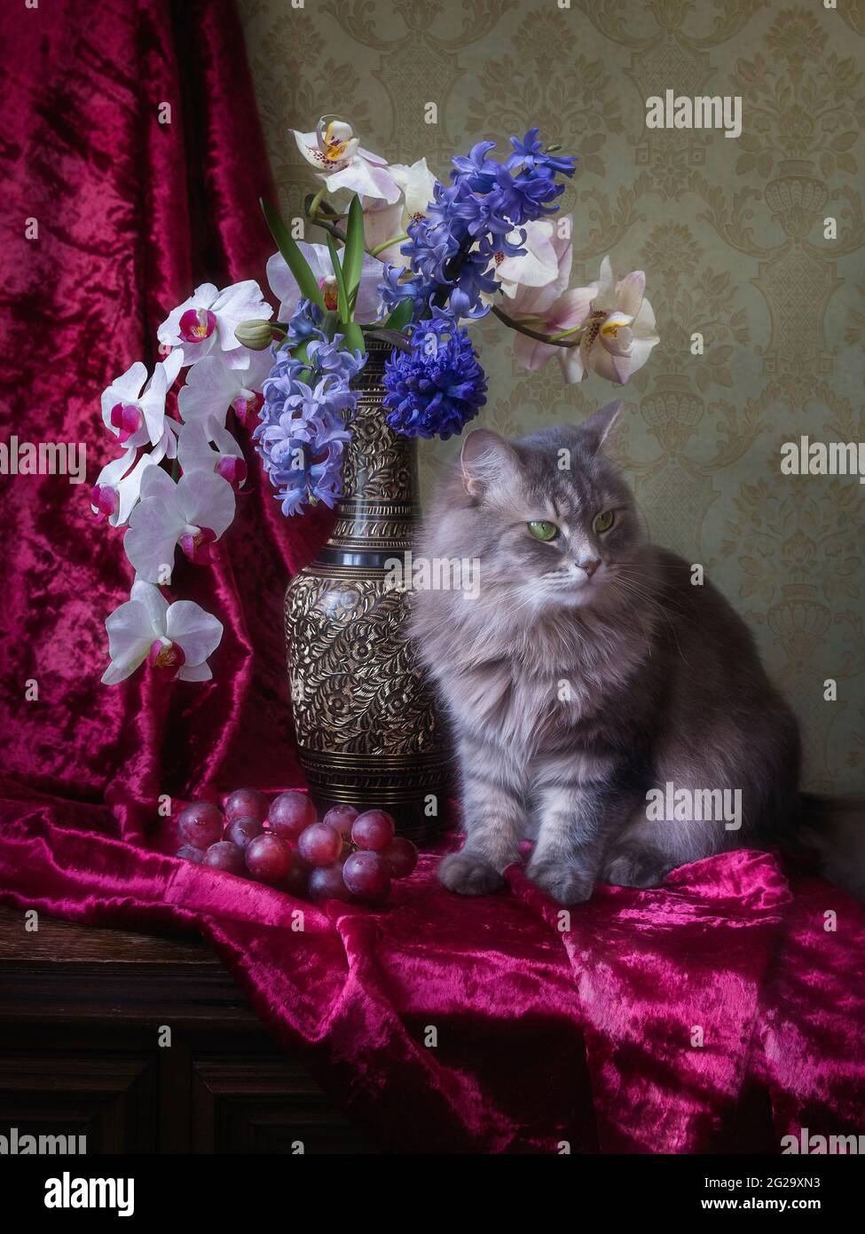 La natura morta floreale con il grazioso gattino grigio Foto Stock