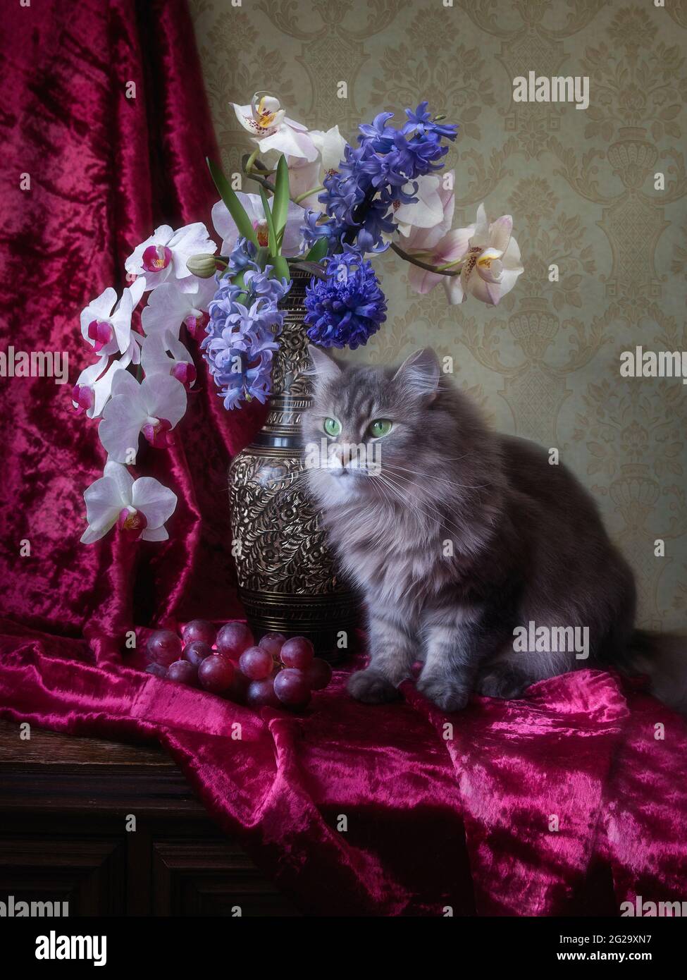 La natura morta floreale con il grazioso gattino grigio Foto Stock
