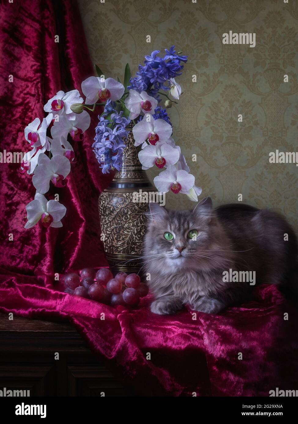 La natura morta floreale con il grazioso gattino grigio Foto Stock