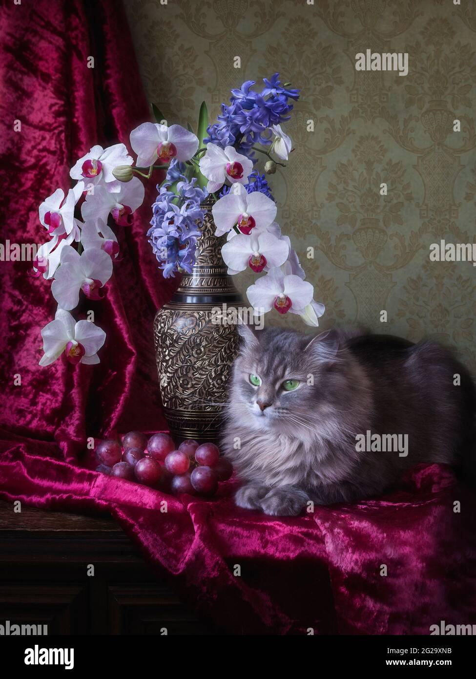 La natura morta floreale con il grazioso gattino grigio Foto Stock