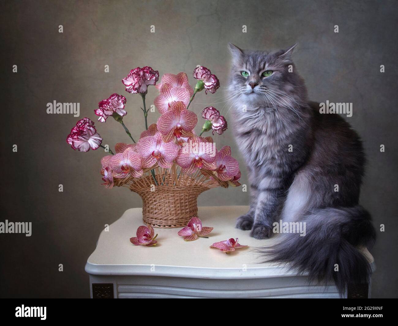 La natura morta floreale con il grazioso gattino grigio Foto Stock