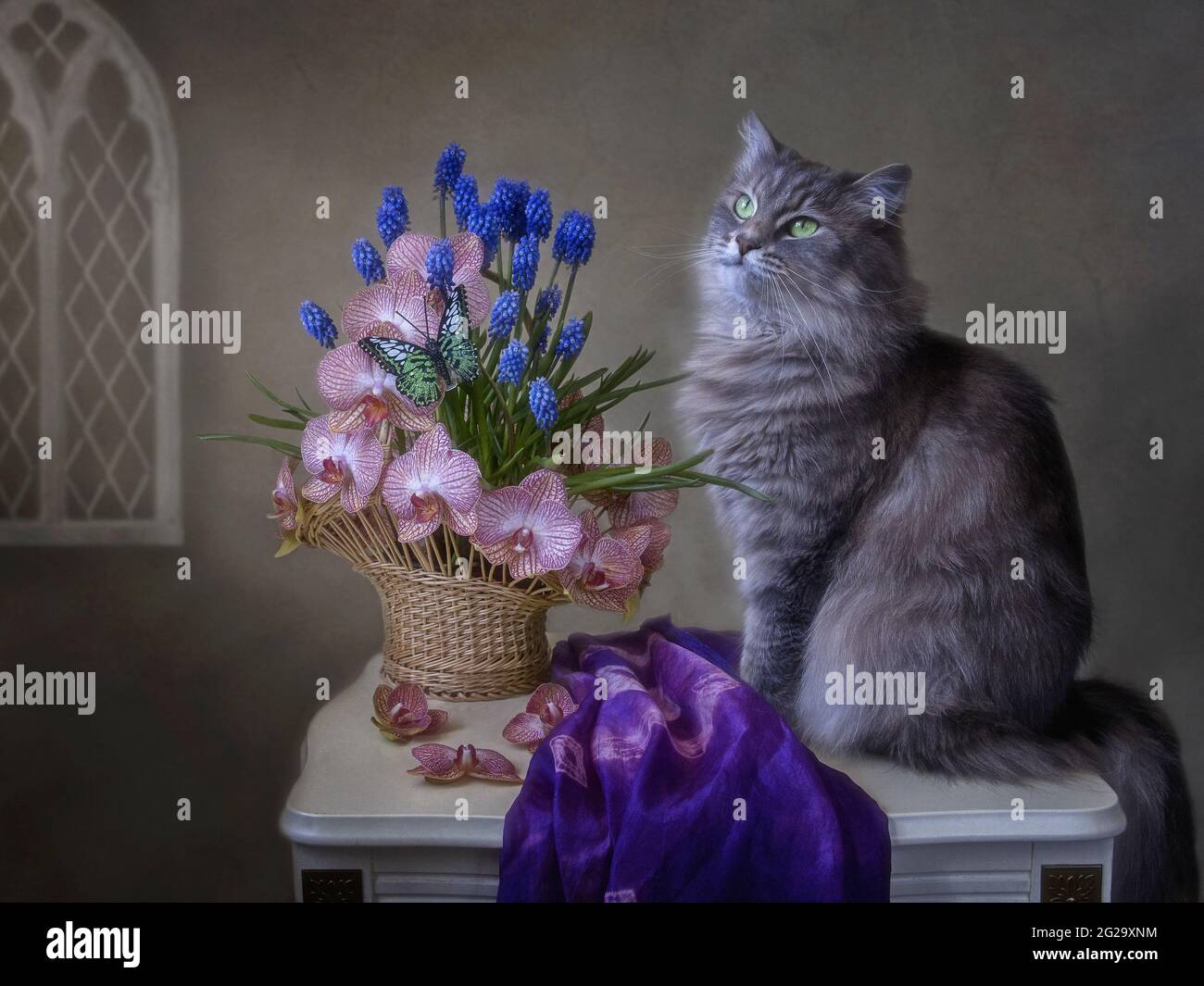 La natura morta floreale con il grazioso gattino grigio Foto Stock