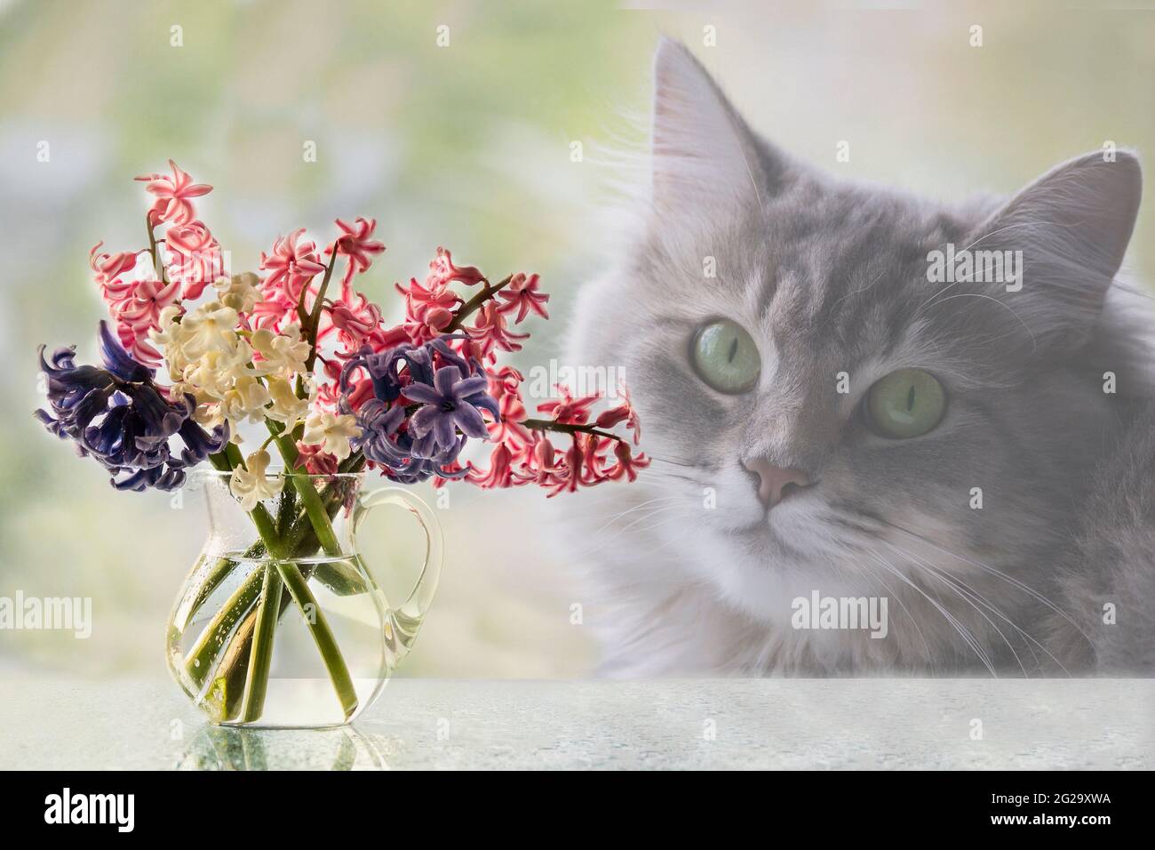 La natura morta floreale con il grazioso gattino grigio Foto Stock