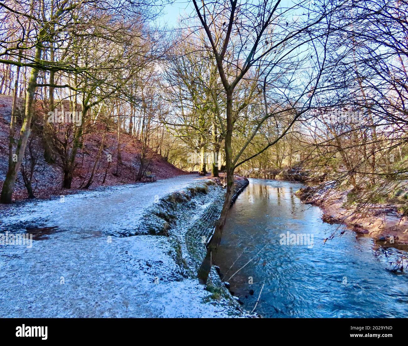Una passeggiata invernale attraverso Alkrington Woods, Middleton, Manchester Foto Stock