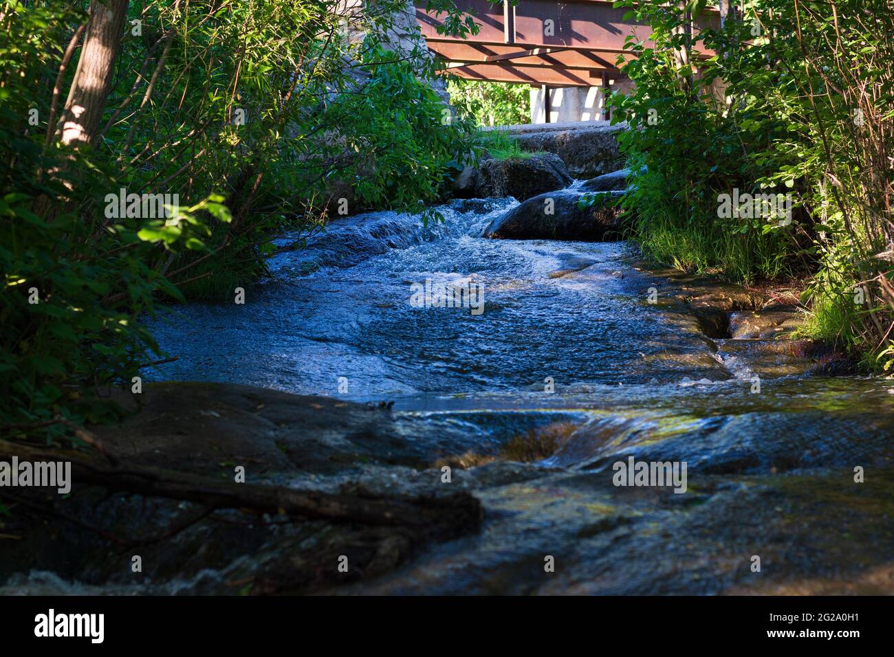 tranquilla cascata di fiume nelle profondità della foresta Foto Stock