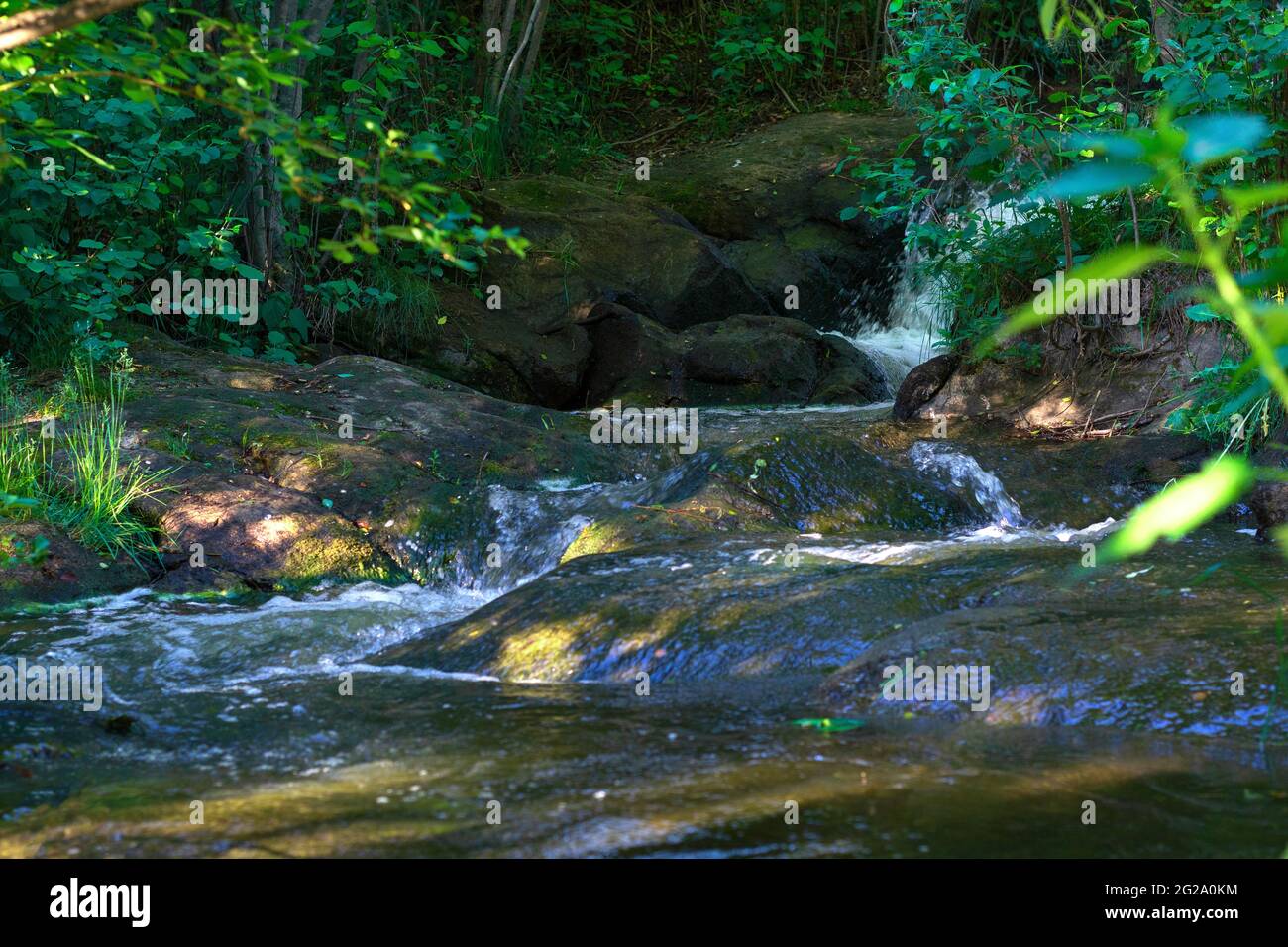 tranquilla cascata di fiume nelle profondità della foresta Foto Stock