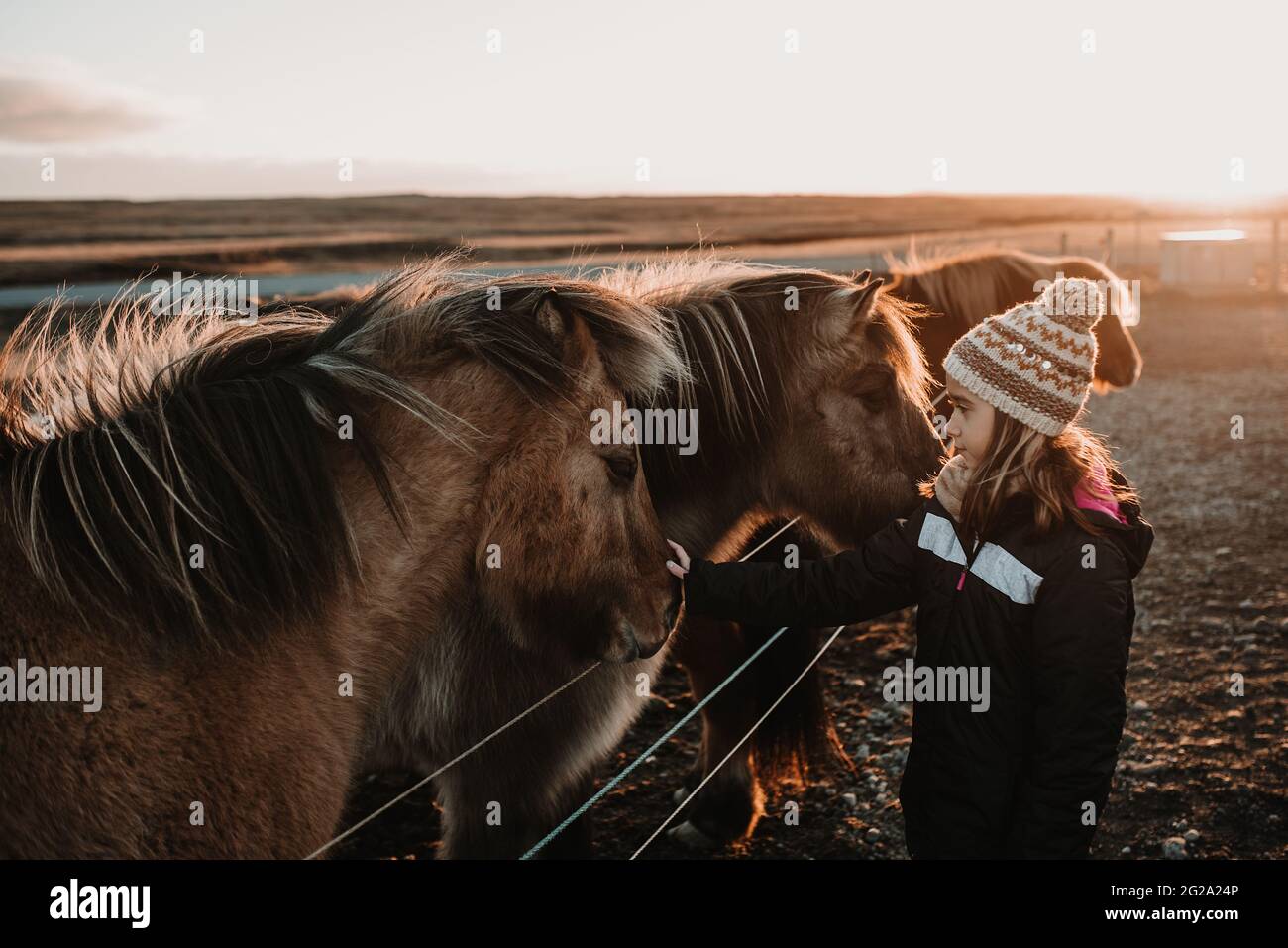 Vista laterale della dolce ragazza in abiti caldi ed eleganti che toccano incredibili cavalli islandesi nella giornata di sole nella natura meravigliosa Foto Stock