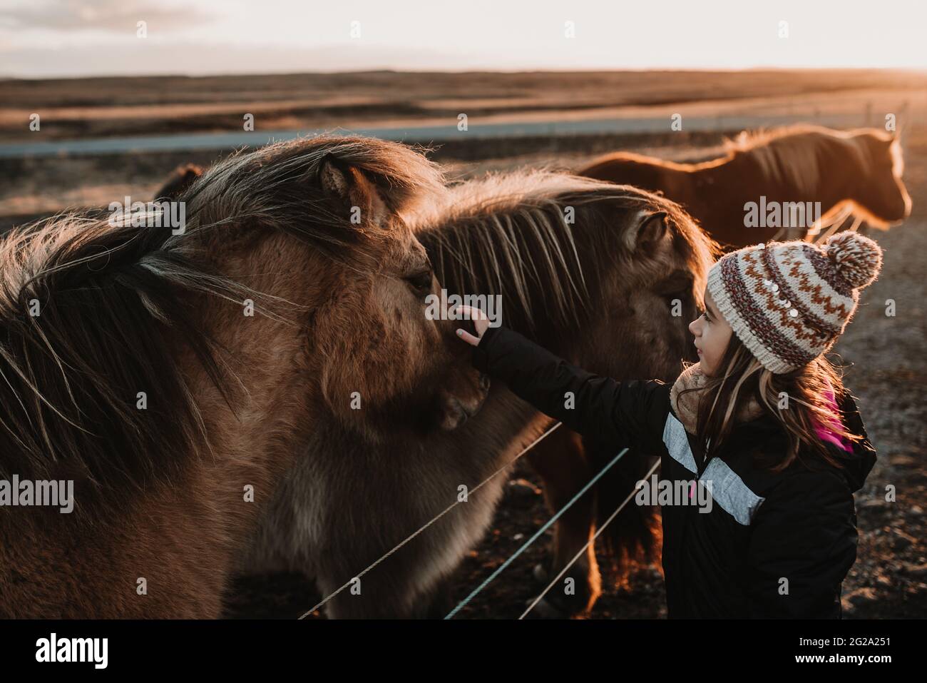 Vista laterale della dolce ragazza in abiti caldi ed eleganti che toccano incredibili cavalli islandesi nella giornata di sole nella natura meravigliosa Foto Stock