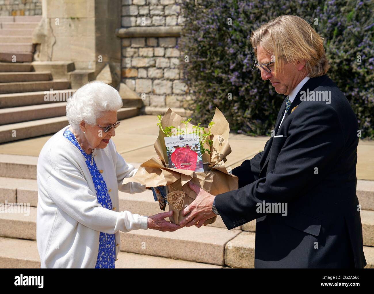 La regina Elisabetta II riceve una rosa duca di Edimburgo, donata da Keith Weed, presidente della Royal Horticultural Society, al Castello di Windsor, Berkshire. La rosa commemorativa di Harkness Roses è stata ufficialmente chiamata in memoria del duca di Edimburgo. Una royalty derivante dalla vendita di ogni rosa andrà al premio "Living Legacy Fund" del Duke of Edinburgh, che darà a più giovani l'opportunità di partecipare al premio "Duke of Edinburgh Award". Data immagine: Mercoledì 2 giugno 2021. Il duca, morto nell'aprile di quest'anno, avrebbe festeggiato il suo centesimo compleanno su Ju Foto Stock
