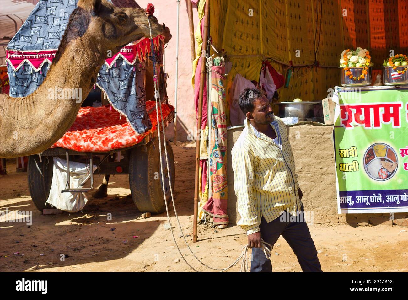 Pushkar, India - 10 novembre 2016: Un uomo che cammina il suo cammello nella famosa fiera pushkar o kartik. La più grande fiera indiana di cammelli, cavalli e bestiame Foto Stock