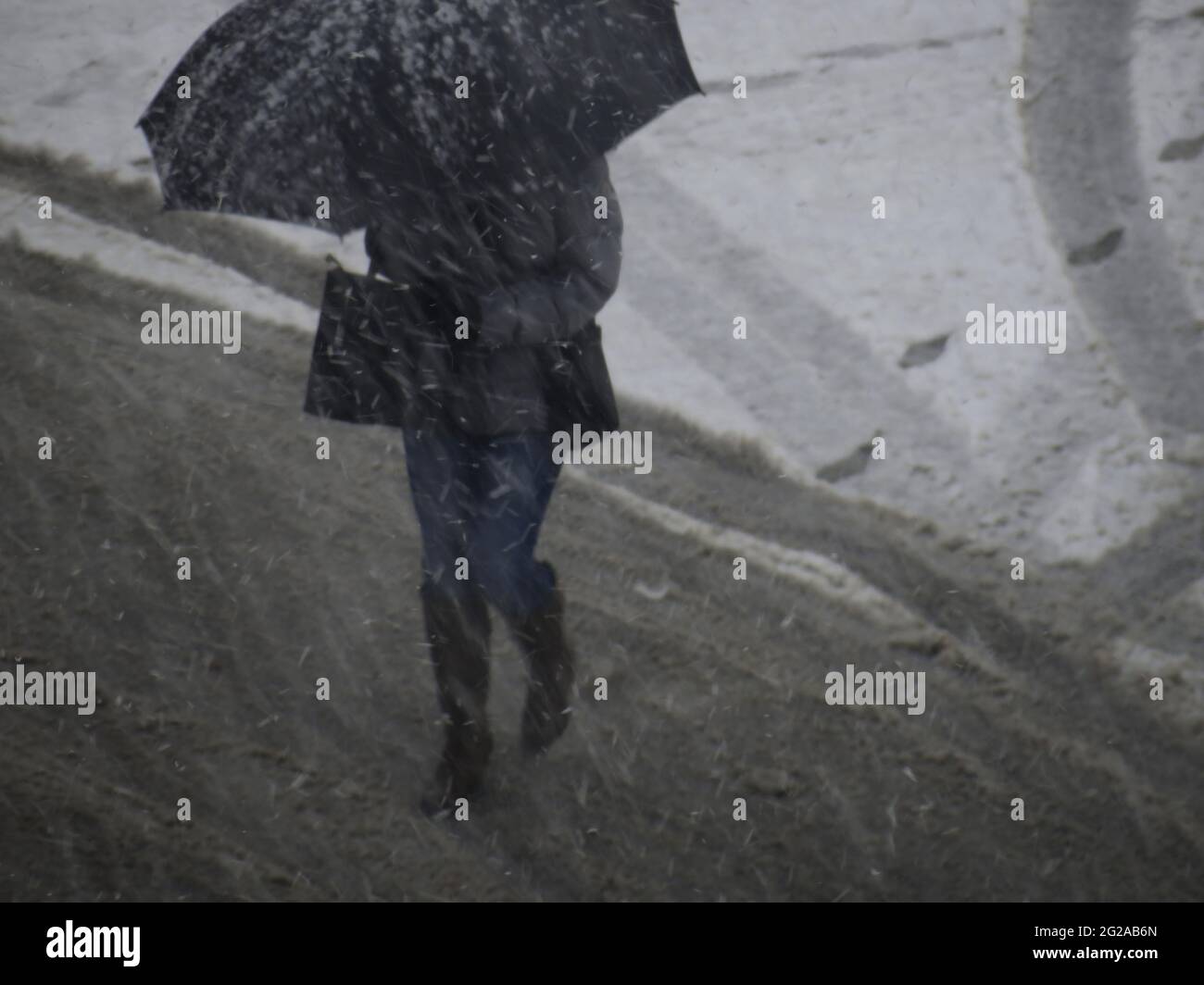 Donna che ripara con un ombrello cammina sotto una tempesta di neve a Roma Foto Stock