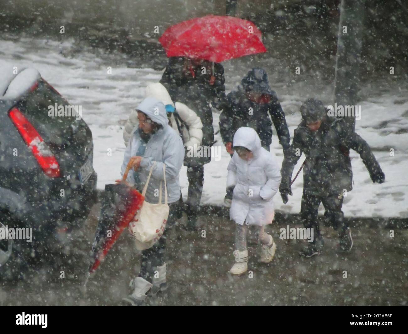 Famiglia riparata con un ombrello passeggiata sotto una tempesta di neve a Roma Foto Stock