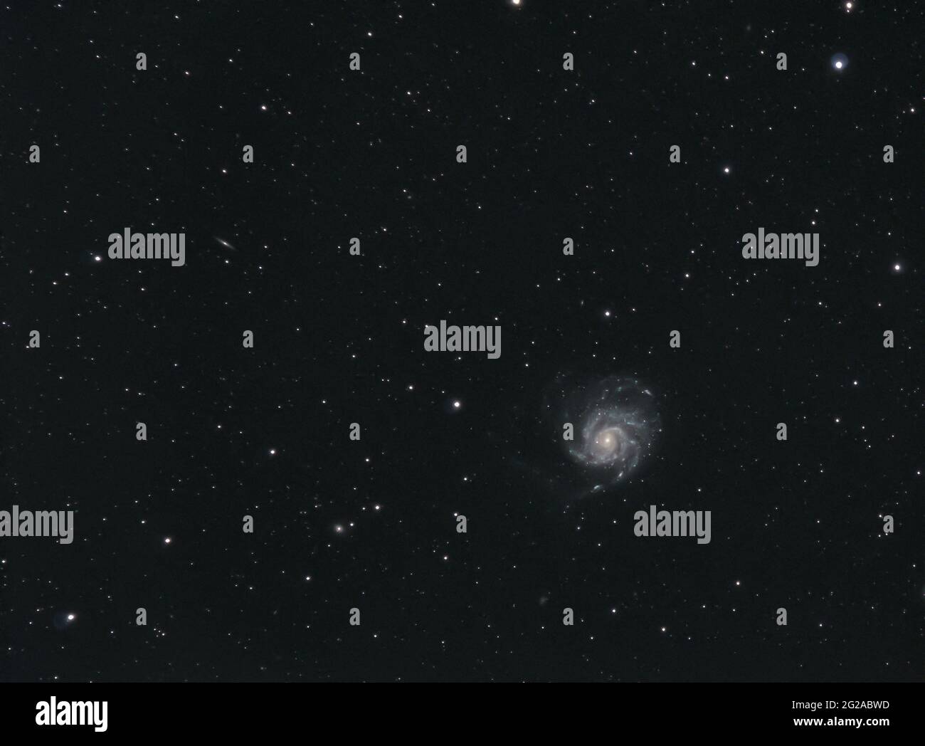 Fotografia del cielo profondo della Pinwheel Galaxy, Messier 101 Foto Stock