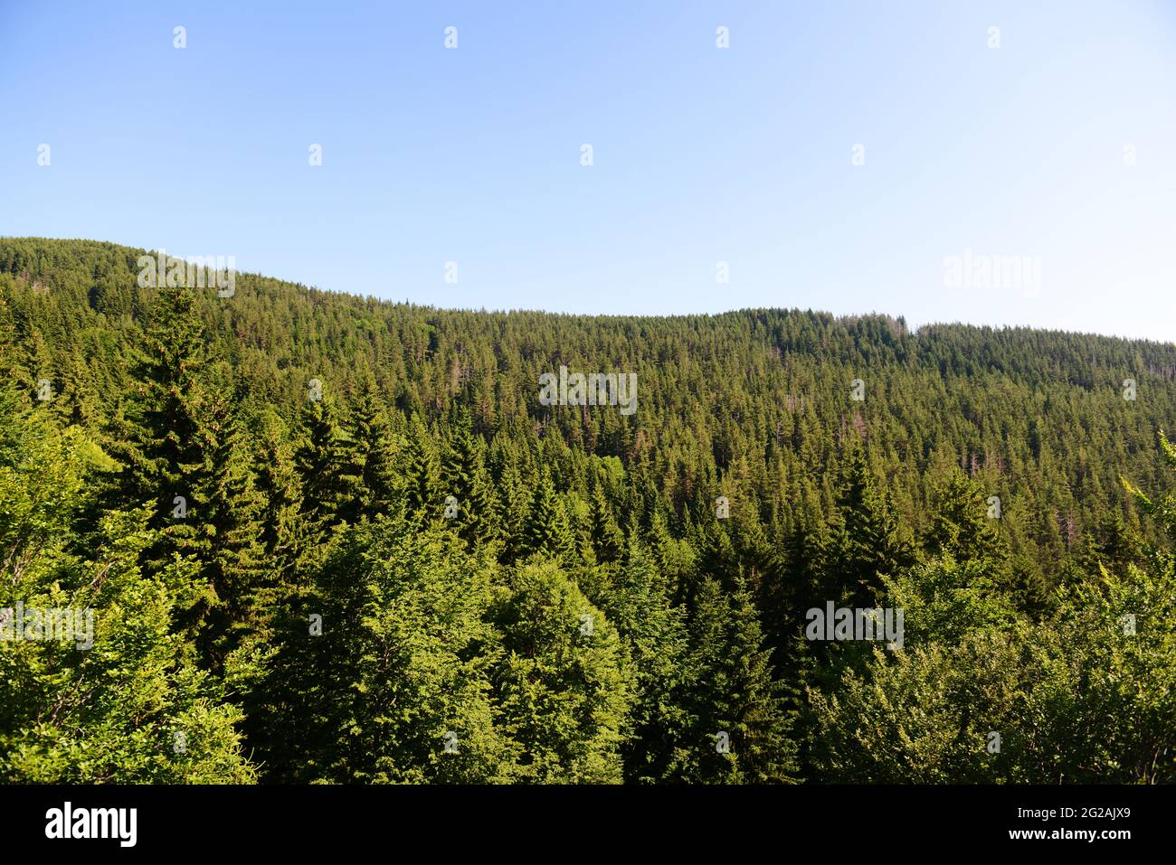 Vista di Sofia dalla funivia di Simeonovo. Foto Stock