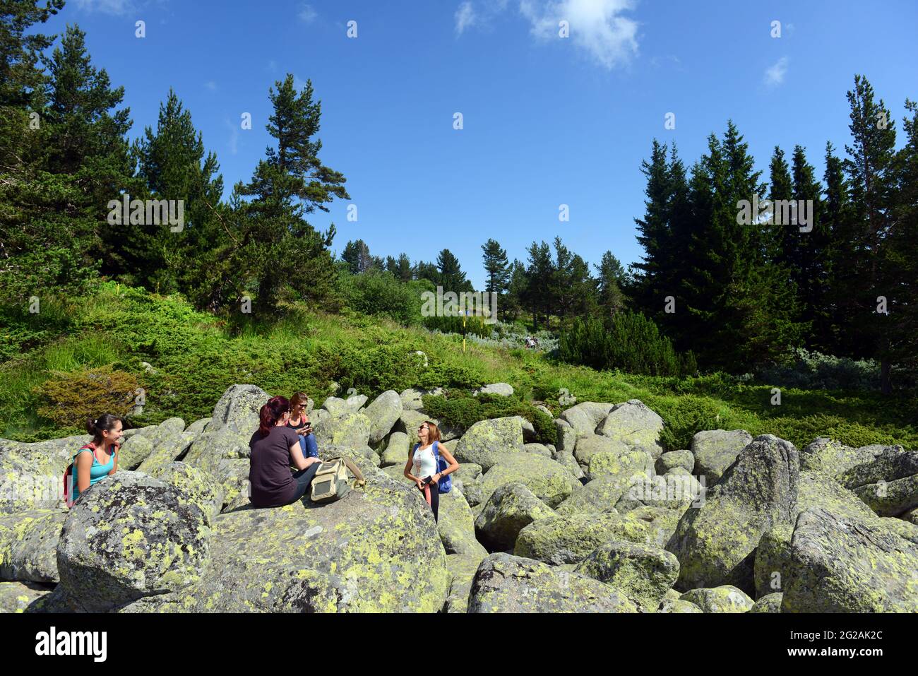 Escursioni sulla montagna Vitosha vicino Sofia, Bulgaria. Foto Stock