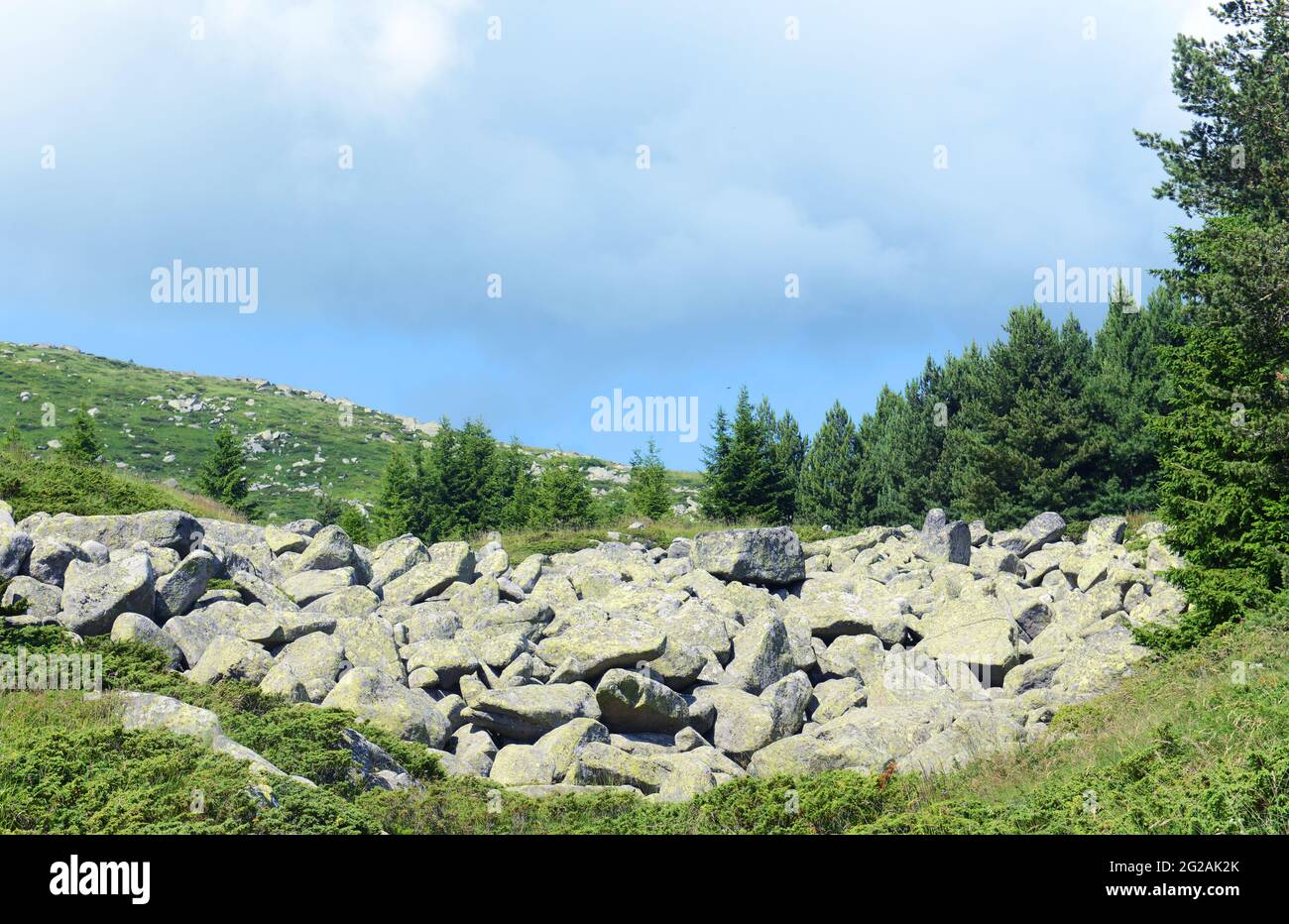Escursioni sulla montagna Vitosha vicino Sofia, Bulgaria. Foto Stock
