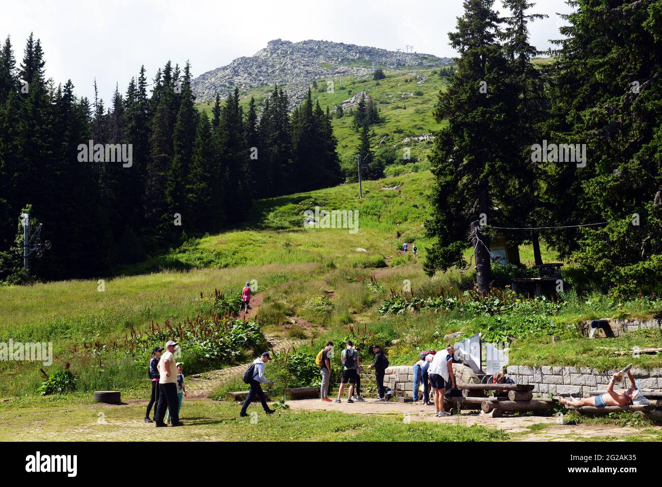 Escursioni sulla montagna Vitosha vicino Sofia, Bulgaria. Foto Stock