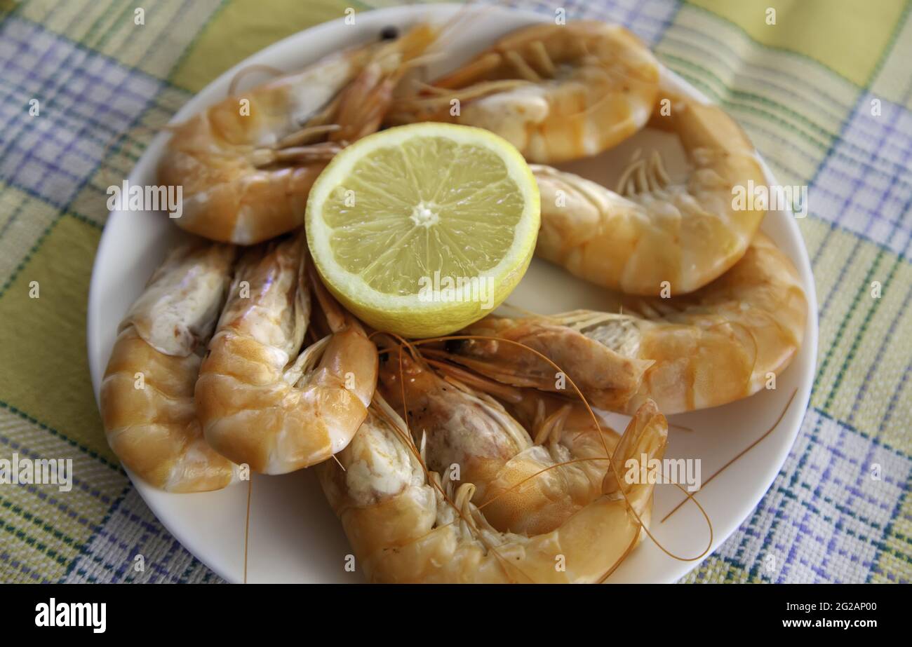 Gamberi freschi cucinati sul tavolo del ristorante, pranzo a base di pesce Foto Stock
