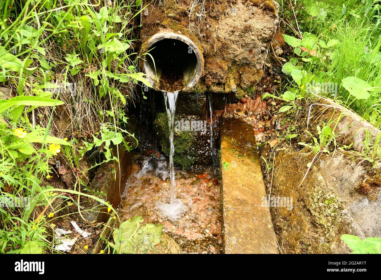 Primavera naturale. L'acqua di sorgente pura scorre da un tubo in un muro di pietra in natura. Foto Stock