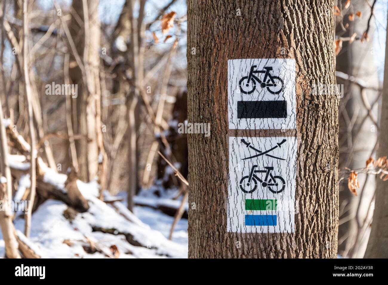 Le due spade e pista ciclabile, segnavia sulla corteccia dell'albero. Piste ciclabili nere, verdi e blu. Natura attività background. Simbolo grafico della bicicletta su un tr Foto Stock