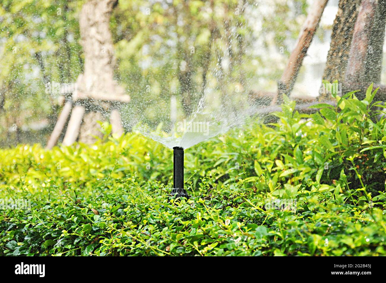 Spruzzatore di acqua Foto Stock