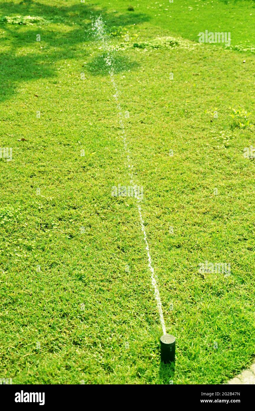 Irrigatore ad acqua su prato verde Foto Stock