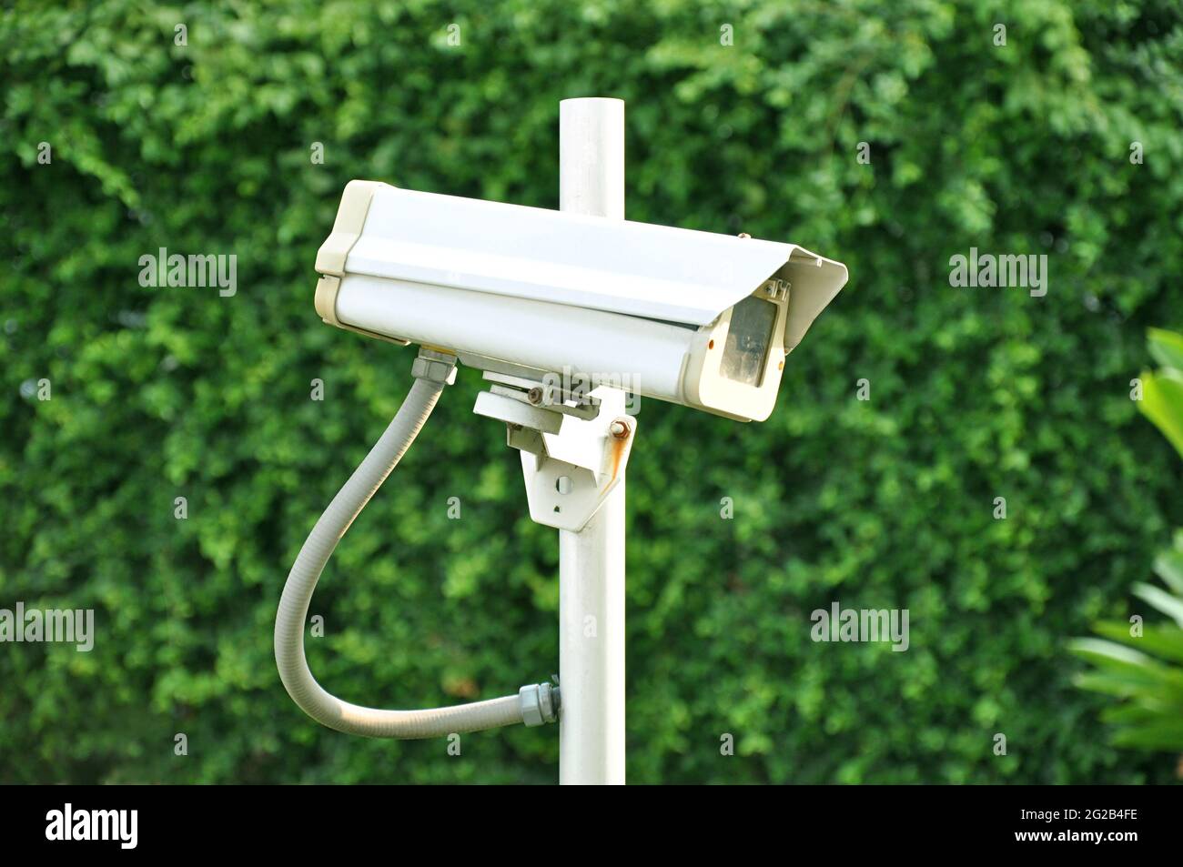 CCTV su sfondo verde natura Foto Stock