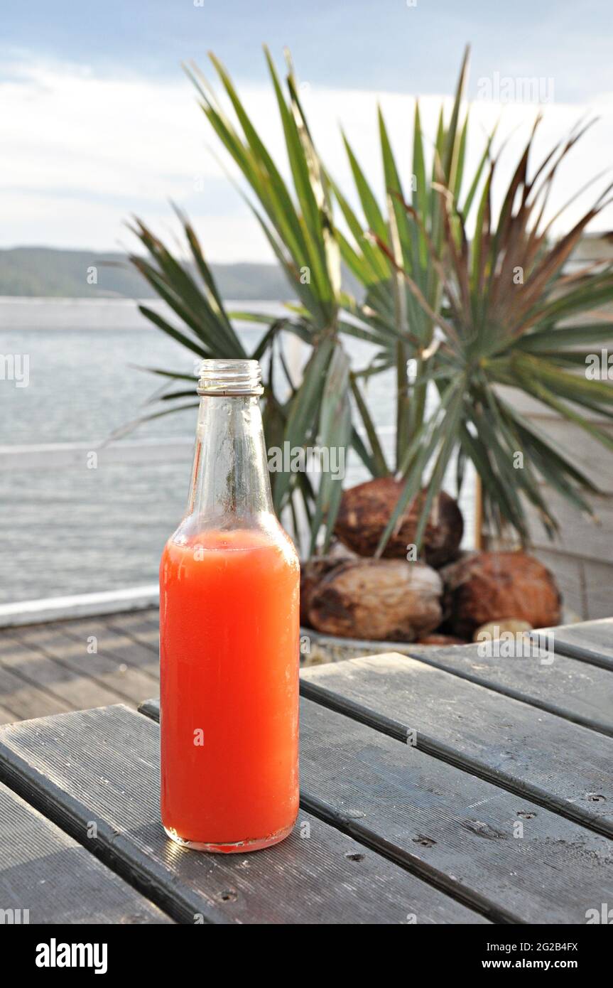 Una bottiglia di succo freddo su un tavolo di legno accanto al lago Foto Stock