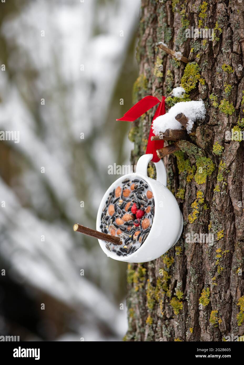 Alimentatore di uccelli della tazza del tè fatto in casa appeso su un albero nel giardino d'inverno. Aiutare le persone ad animali. Spazio di copia. Foto Stock