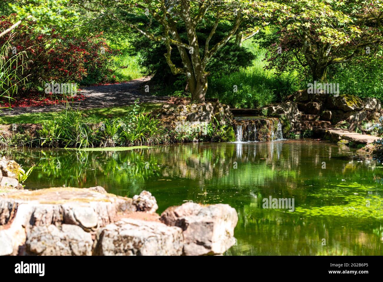 Stagni ornamentali. Giardini del Lydney Park. Foto Stock