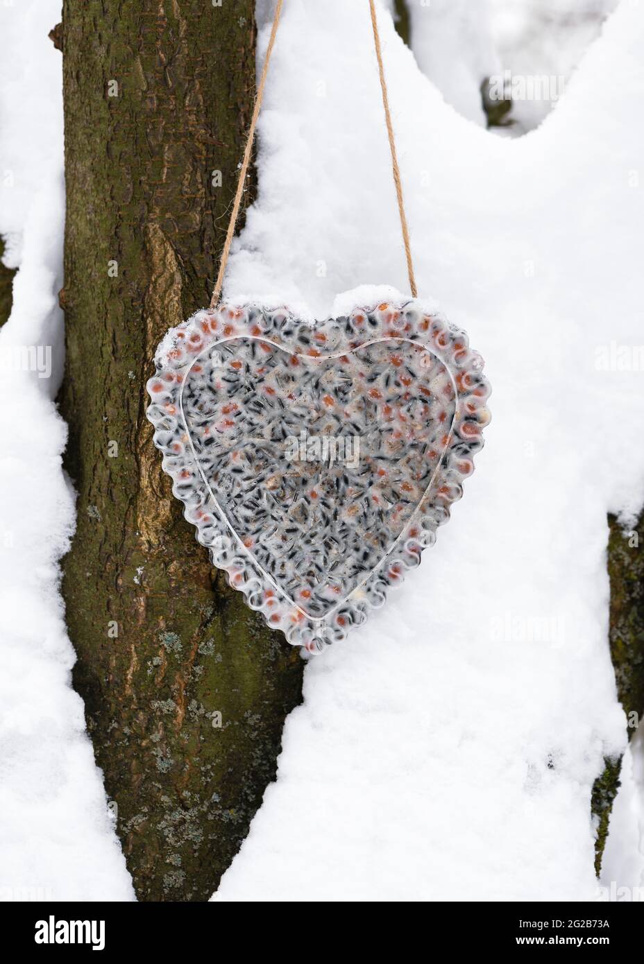 Torta di sueto fatta in casa a forma di cuore appesa nel giardino d'inverno innevato. Nutrire gli uccelli in inverno. Spazio di copia. Foto Stock