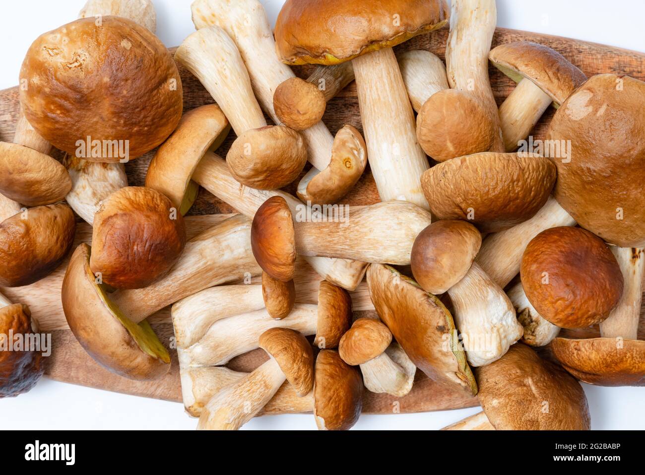 Cappuccio marrone Boletus Edulis sfondo. Un sacco di funghi commestibili su un tavolo da cucina. Nessuno Foto Stock