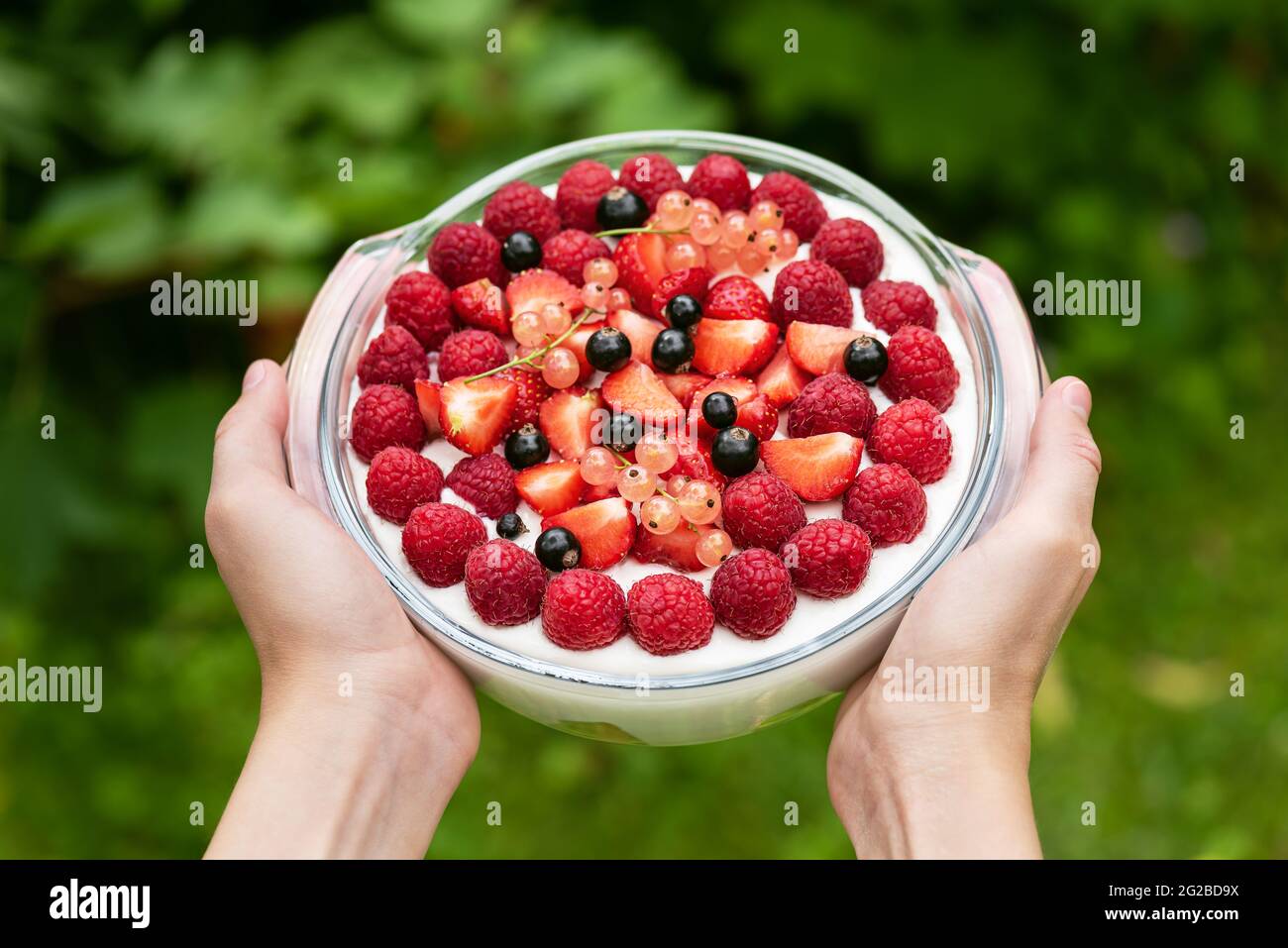 Dessert a tre strati con pan di Spagna, panna montata, lamponi freschi, fragole, ribes nero e rosa in mani di bambino. Foto Stock