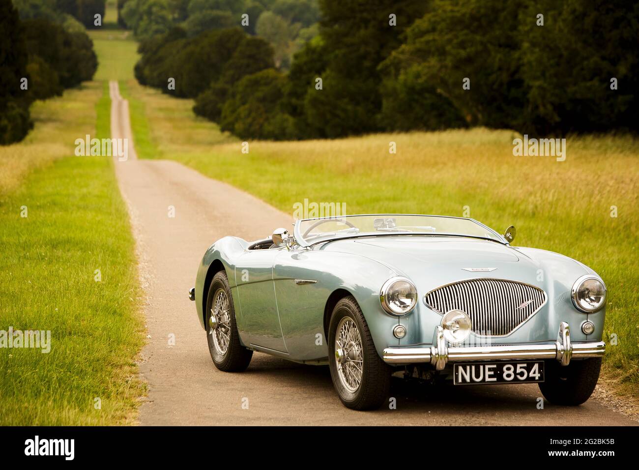 Una classica auto sportiva britannica Austin-Healey Foto Stock