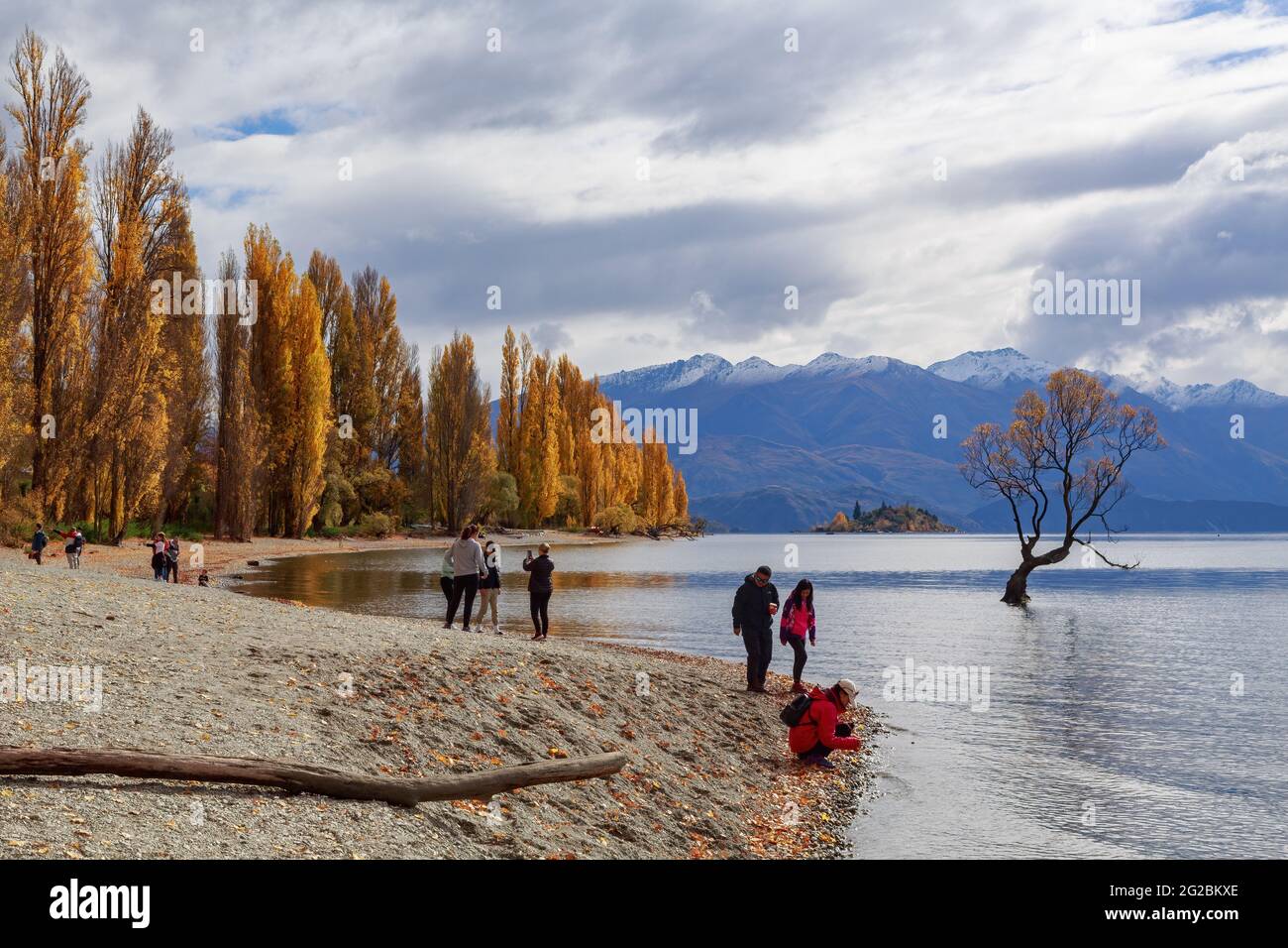 Lago Wanaka, Nuova Zelanda, in autunno. I turisti sulla riva guardano 'quell'albero di Wanaka', un famoso salice solone nelle acque del lago Foto Stock