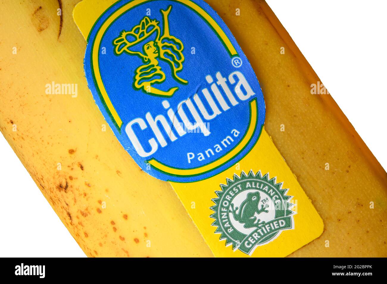 BREMA, GERMANIA - 10 GIUGNO 2021: Le banane Chiquita di Panama etichettate con il sigillo certificato della Rainforest Alliance. Foto Stock