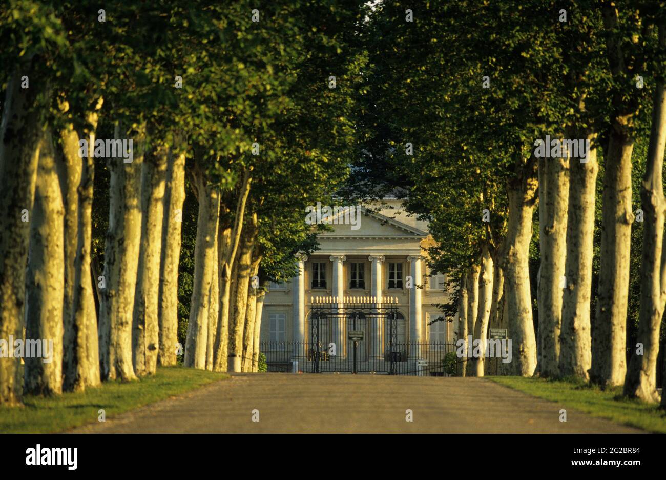 FRANCIA. GIRONDE (33) VINO DI BORDEAUX. VIGNETO MEDOC E MARGAUX. CHATEAU MARGAUX. PRIMA CRESCITA CLASSIFICATA Foto Stock