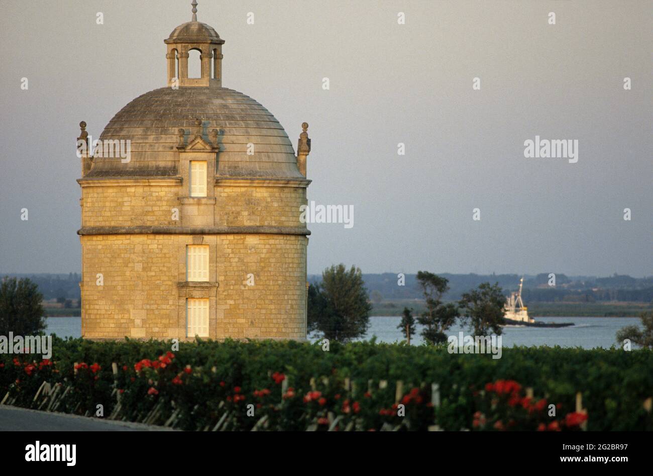 FRANCIA. GIRONDE (33) VINO DI BORDEAUX. VIGNETI DI MEDOC E PAUILLAC. CHATEAU LATOUR. PRIMA CRESCITA CLASSIFICATA Foto Stock