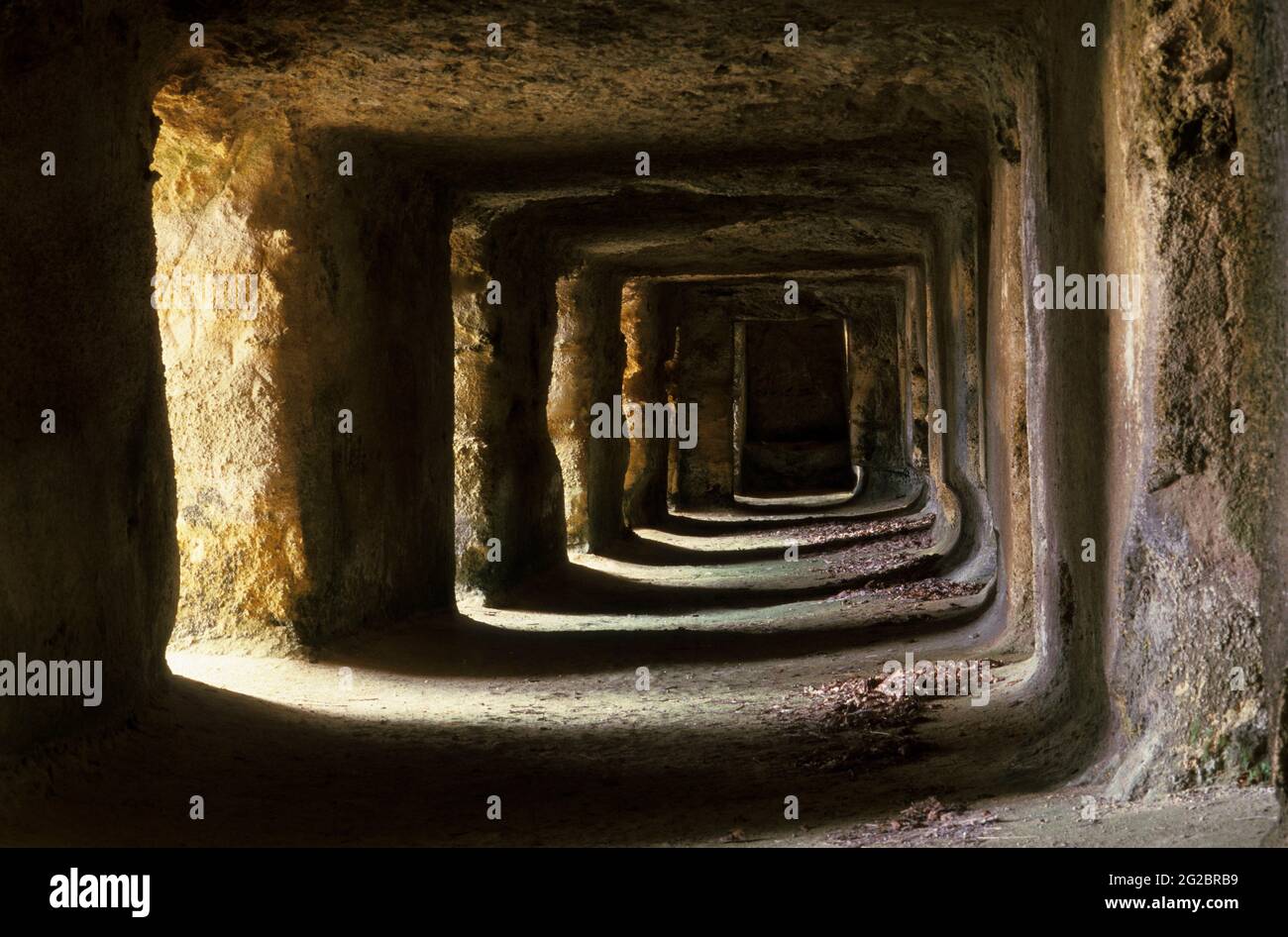 FRANCIA. GIRONDE (33) VINO DI BORDEAUX. VIGNETO DI SAINT-EMILION. SAINT-HIPPOLYTE. LA GROTTA DI FERRAND Foto Stock