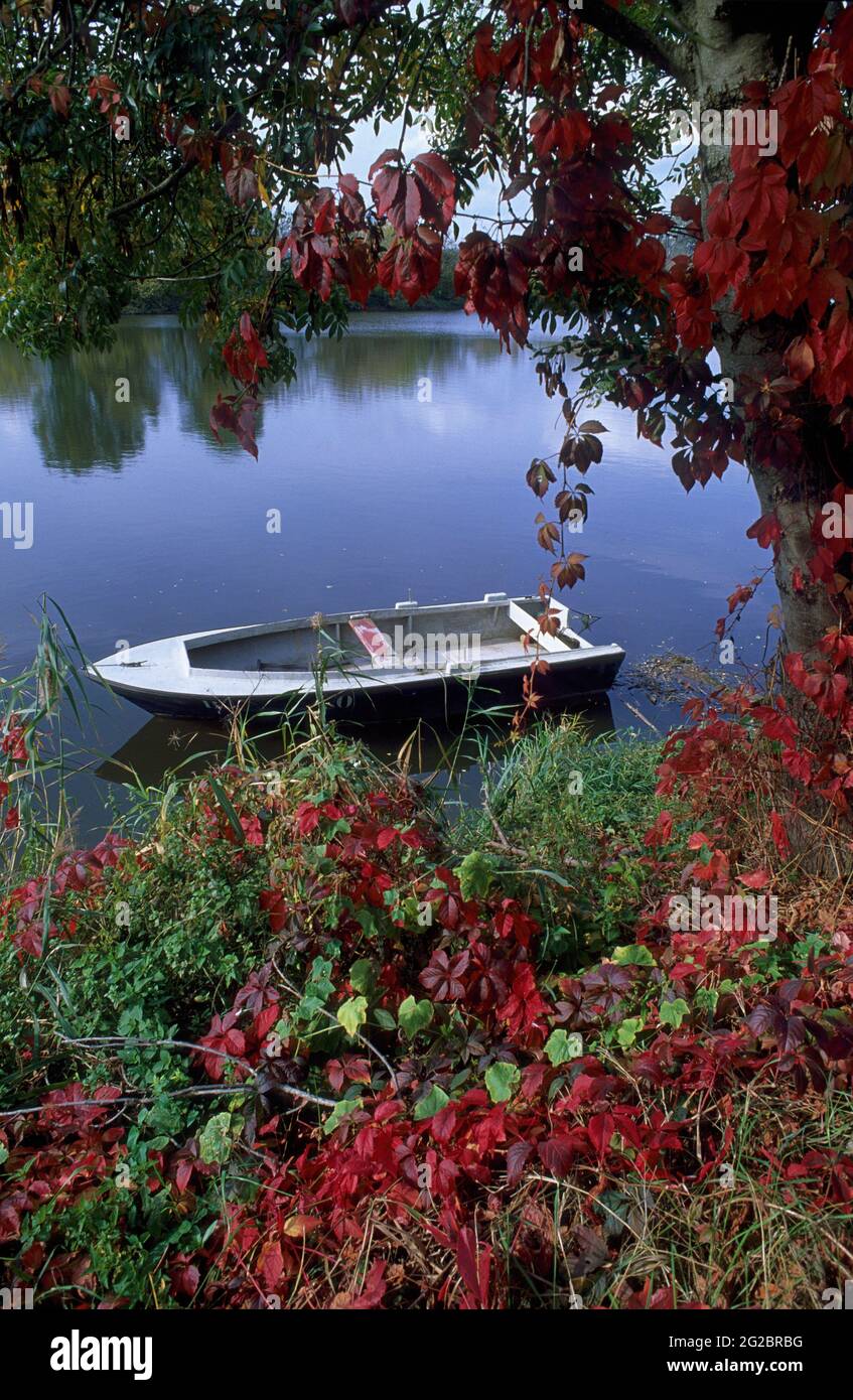 FRANCIA. GIRONDE (33) VINO DI BORDEAUX. VIGNETO DI SAINT-EMILION. UNA BARCA SUL FIUME DORDOGNA VICINO AL VILLAGGIO DI SAINT-SULPICE-DE-FALEYRENS Foto Stock