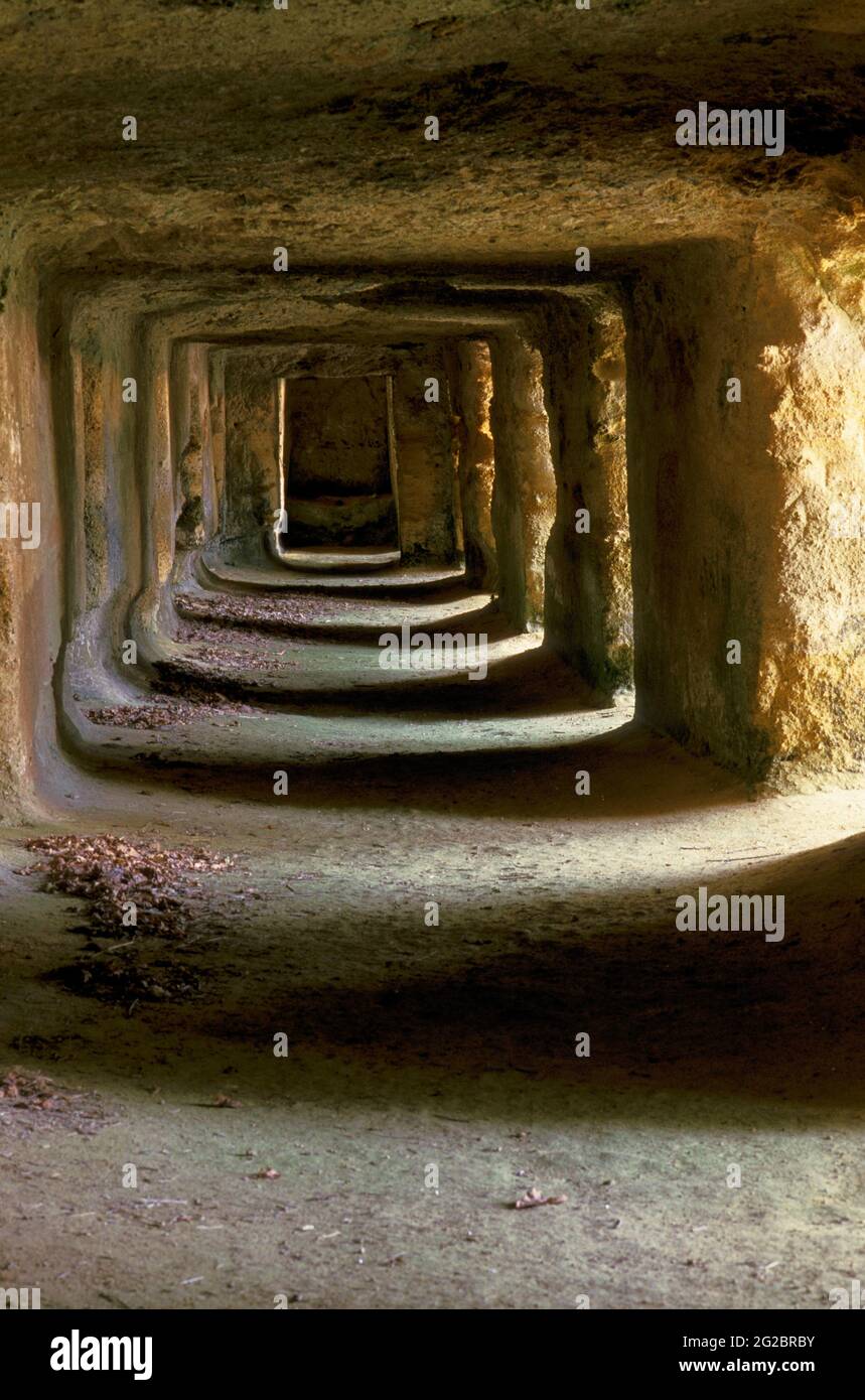 FRANCIA. GIRONDE (33) VINO DI BORDEAUX. VIGNETO DI SAINT-EMILION. SAINT-HIPPOLYTE. LA GROTTA DI FERRAND Foto Stock