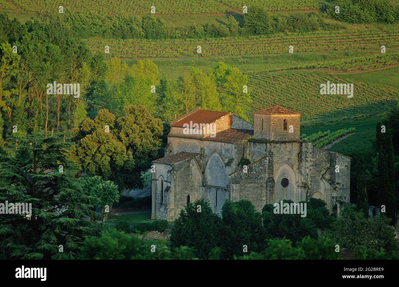 FRANCIA. CHARENTE (16) COGNAC VIGNETO. CHAMPAGNE CHARENTAISE. LA CHIESA ROMANA DEL VILLAGGIO DI BOUTEVILLE Foto Stock