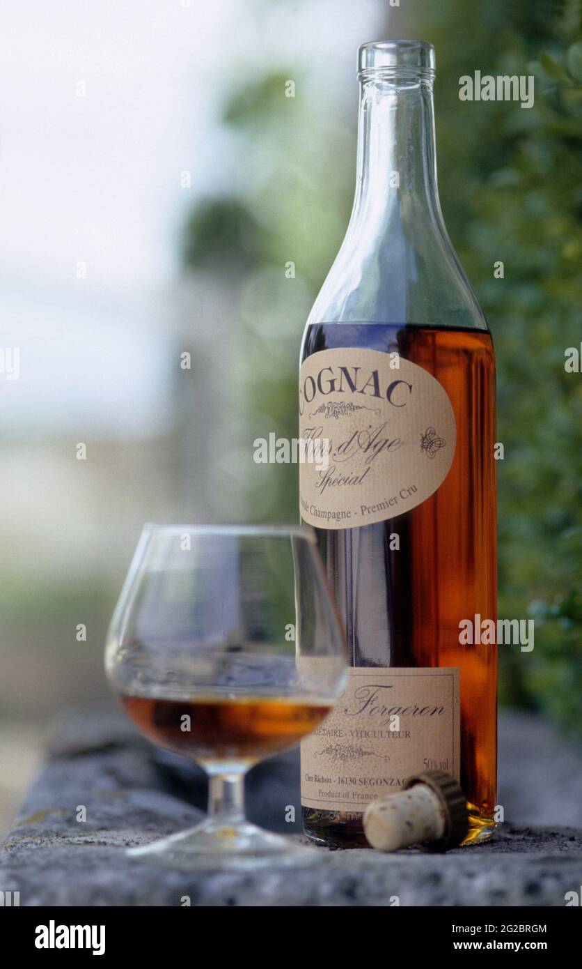 FRANCIA. CHARENTE (16) COGNAC VIGNETO. CHAMPAGNE CHARENTAISE. COGNAC DI MISS FORGERON VITICOLTORE Foto Stock