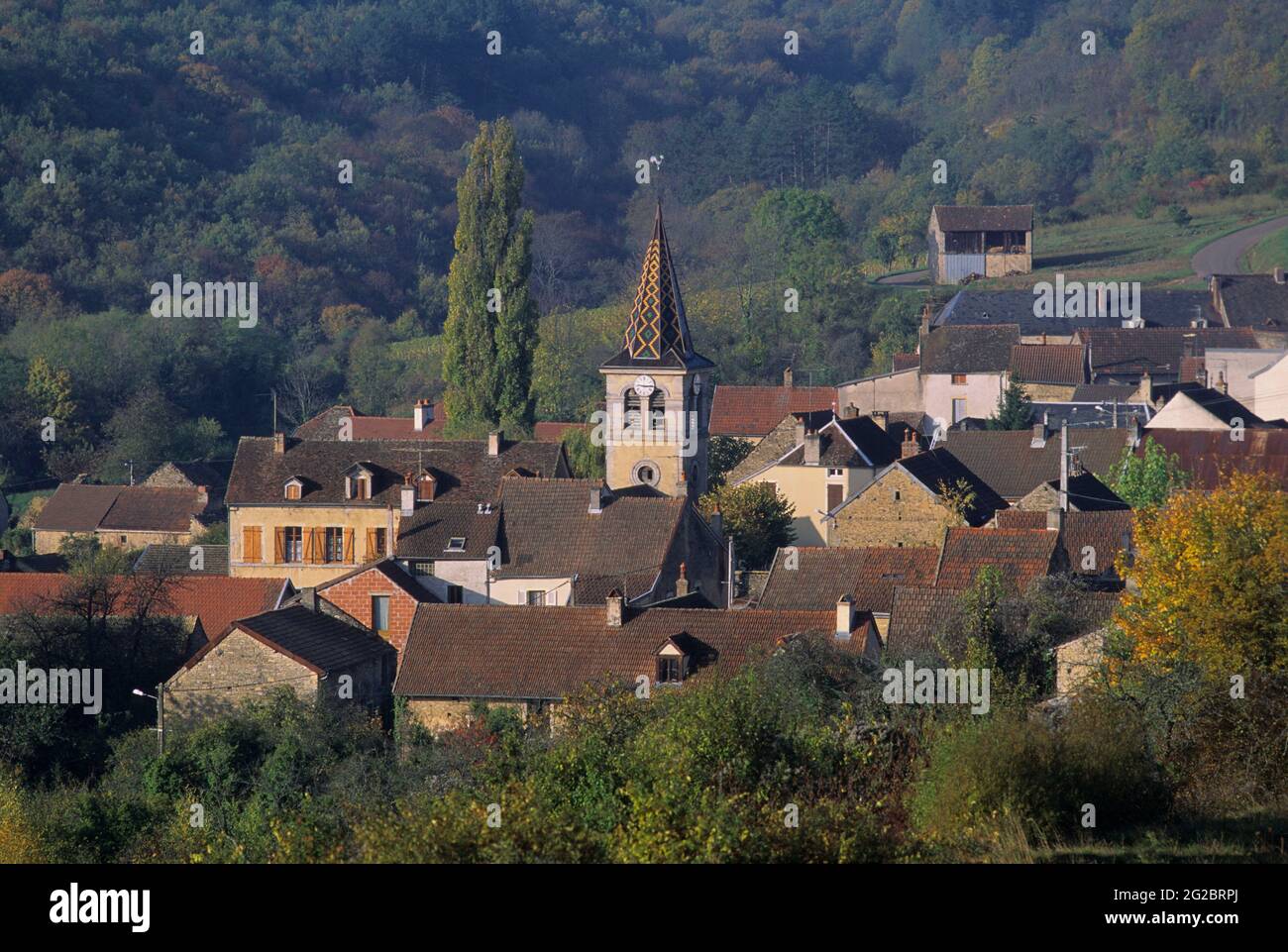 FRANCIA. COTE D O (21) REGIONE BORGOGNA. VILLAGGIO DI CHEVANNES. VIGNETI DI BORGOGNA E ARRIERE-COTE Foto Stock