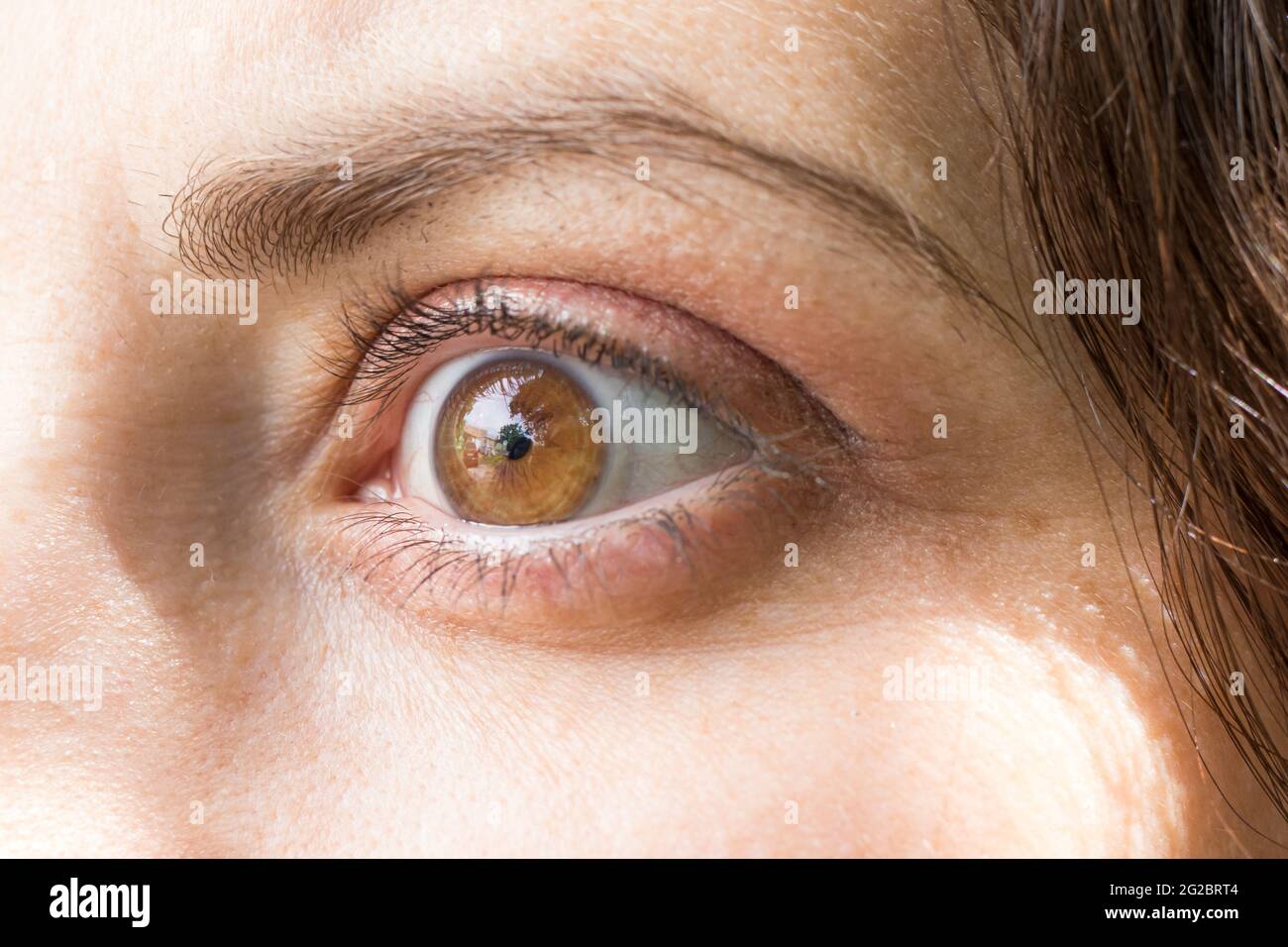 Occhio umano con macro di primo piano dell'obiettivo. Oftalmologia, correzione di miopia o iperopia. Foto Stock