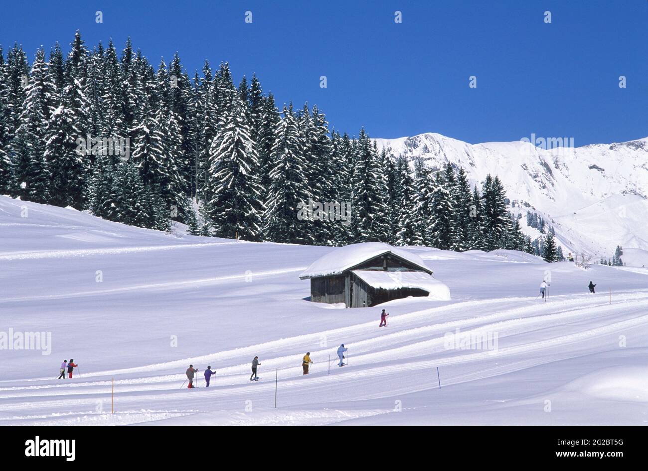 FRANCIA. ALTA SAVOIA (74) MONTE ARAVIS. STAZIONE SCIISTICA DI LA CLUSAZ. SCI DI FONDO NELLA ZONA DI CONFINS Foto Stock